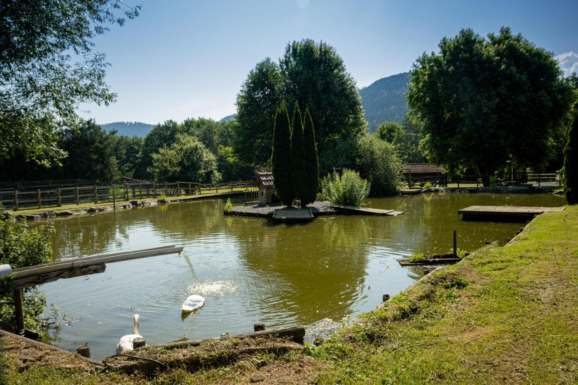 Logis Hotel Le Regal & Spa Saint-Dié-des-Vosges Kültér fotó
